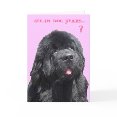 Birthday Card with Newfy by knewfy