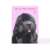 Birthday Card with Newfy