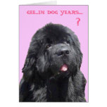Birthday Card with Newfy