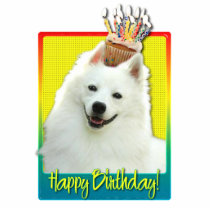 Birthday Cupcake - American Eskimo