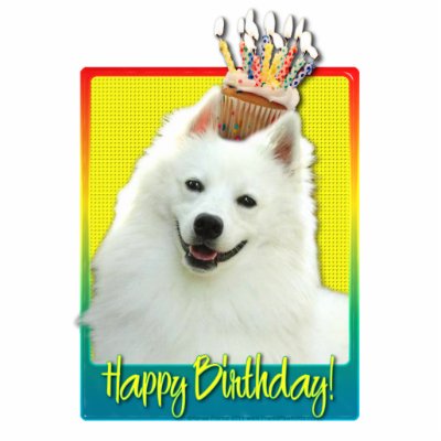 Birthday Cupcake - American Eskimo by FrankzPawPrintz