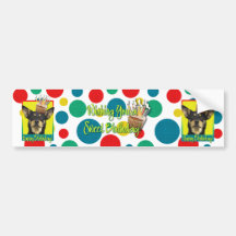 Birthday Cupcake - Australian Kelpie - Jude Bumper Stickers