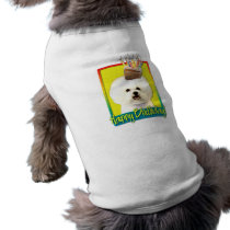 Birthday Cupcake - Bichon Frise
