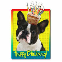 Birthday Cupcake - Boston Terrier