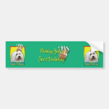 Birthday Cupcake - Coton de Tulear Bumper Sticker