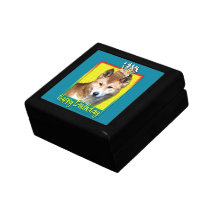 Birthday Cupcake Dingo Gift Box