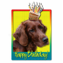 Birthday Cupcake - Irish Setter Photo Cutout