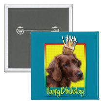 Birthday Cupcake - Irish Setter Pins