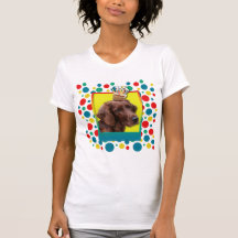 Birthday Cupcake - Irish Setter Shirt