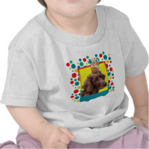 Birthday Cupcake - Irish Setter Tshirt