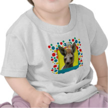 Birthday Cupcake - Kangaroo Shirts