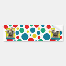 Birthday Cupcake - Koala Bumper Sticker