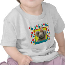 Birthday Cupcake - Koala Shirts