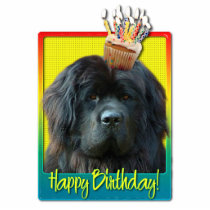Birthday Cupcake - Newfoundland