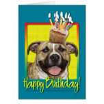 Birthday Cupcake - Pitbull - Tigger