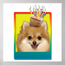 Birthday Cupcake - Pomeranian Poster