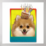 Birthday Cupcake - Pomeranian Poster