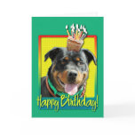 Birthday Cupcake - Rottweiler - SambaParTi