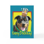 Birthday Cupcake - Rottweiler - SambaParTi