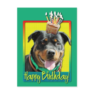 Birthday Cupcake - Rottweiler - SambaParTi by FrankzPawPrintz