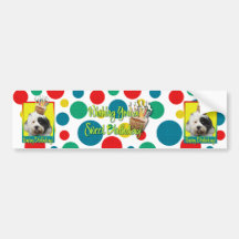 Birthday Cupcake - Tibetan Terrier Bumper Sticker