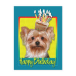 Birthday Cupcake - Yorkshire Terrier