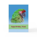 Birthday,  Friend, Green Parrot Greeting Card