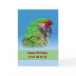 Birthday,  From All of Us, Green Parrot Cards