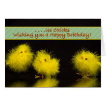Birthday - From Chicks Greeting Card