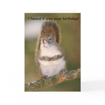 Birthday Greeting Card - Squirrel by shellmart
