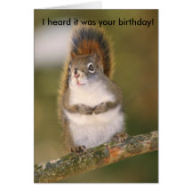 Birthday Greeting Card - Squirrel