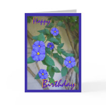 Birthday greetings Card
