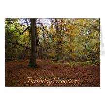 Birthday Greetings Greeting Cards