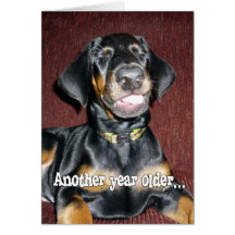 Birthday Humour - Smiling Doberman Pinscher Puppy Card