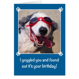 Birthday - I Goggled You - Australian Shepherd Dog Card