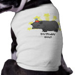 Birthday Miniature Pig