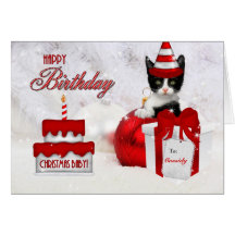 Birthday on Christmas Day Cat and Cake Greeting Cards