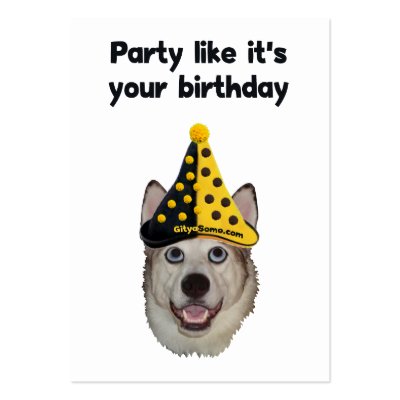 Birthday Party Dog by HappyDoggies