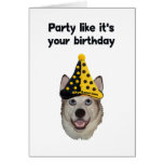 Birthday Party Dog