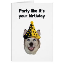 Birthday Party Dog
