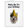 Birthday Party Dog