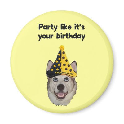 Birthday Party Dog by HappyDoggies