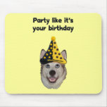 Birthday Party Dog