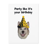 Birthday Party Dog
