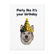 Birthday Party Dog