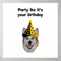 Birthday Party Dog