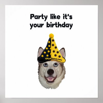 Birthday Party Dog by HappyDoggies