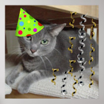 Birthday Party Grey Cat