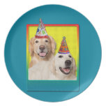 Birthday Party Hat - Golden Retriever Tebow Corona Party Plate