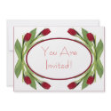 BIRTHDAY PARTY INVITATION